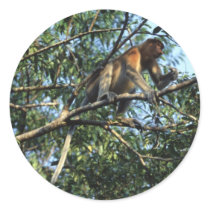 Proboscis Monkey in Borneo Sticker