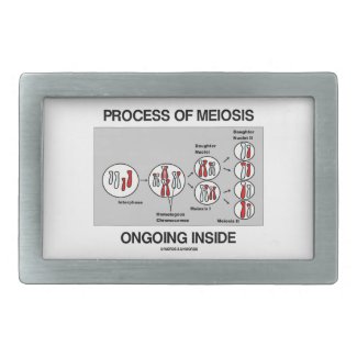 Process Of Meiosis Ongoing Inside Rectangular Belt Buckle