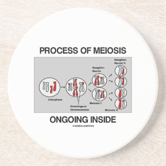 Process Of Meiosis Ongoing Inside Beverage Coaster