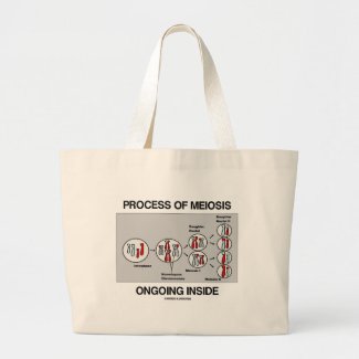 Process Of Meiosis Ongoing Inside Canvas Bags
