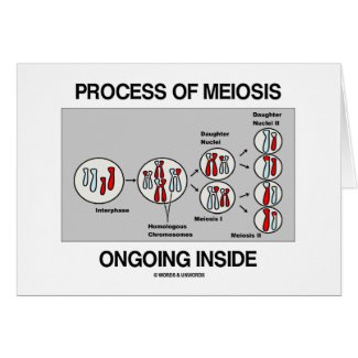 Process Of Meiosis Ongoing Inside Card