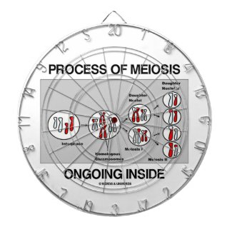 Process Of Meiosis Ongoing Inside Dart Boards