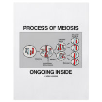 Process Of Meiosis Ongoing Inside flyers