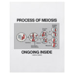 Process Of Meiosis Ongoing Inside Custom Flyer