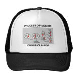 Process Of Meiosis Ongoing Inside Hats
