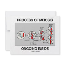Process Of Meiosis Ongoing Inside invitations