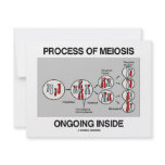 Process Of Meiosis Ongoing Inside Personalized Invites