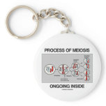 Process Of Meiosis Ongoing Inside Keychains