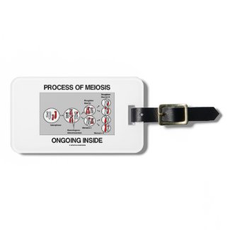 Process Of Meiosis Ongoing Inside Luggage Tag