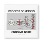 Process Of Meiosis Ongoing Inside Fridge Magnet