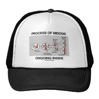 Process Of Meiosis Ongoing Inside Mesh Hats