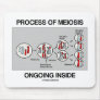Process Of Meiosis Ongoing Inside Mouse Pad