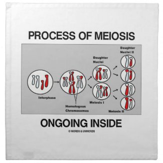 Process Of Meiosis Ongoing Inside Napkin
