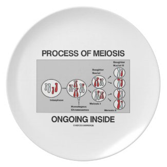 Process Of Meiosis Ongoing Inside Party Plates