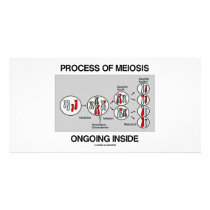 Process Of Meiosis Ongoing Inside photo cards