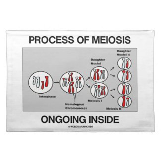 Process Of Meiosis Ongoing Inside Place Mat