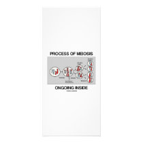 Process Of Meiosis Ongoing Inside rack cards