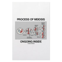 Process Of Meiosis Ongoing Inside stationery