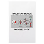 Process Of Meiosis Ongoing Inside Stationery Paper