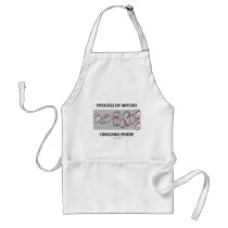 Process Of Mitosis Ongoing Inside Aprons