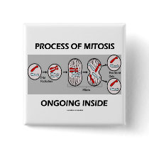 Process Of Mitosis Ongoing Inside Pinback Buttons