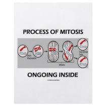 Process Of Mitosis Ongoing Inside flyers