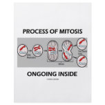 Process Of Mitosis Ongoing Inside flyers