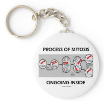 Process Of Mitosis Ongoing Inside Keychain