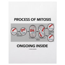 Process Of Mitosis Ongoing Inside letterhead by wordsunwords Process Of Mitosis Ongoing Inside letterhead