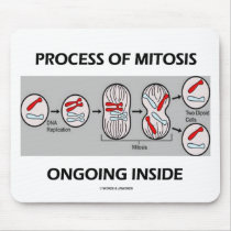 Process Of Mitosis Ongoing Inside Mousepads