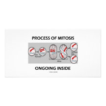 Process Of Mitosis Ongoing Inside Photo Cards