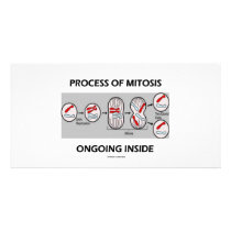 Process Of Mitosis Ongoing Inside Photo Cards
