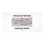 Process Of Mitosis Ongoing Inside Photo Cards
