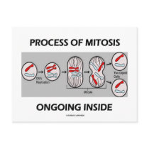 Process Of Mitosis Ongoing Inside Post Card