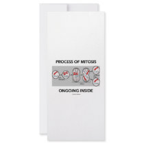 Process Of Mitosis Ongoing Inside rack cards