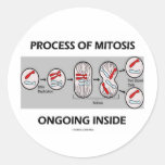 Process Of Mitosis Ongoing Inside Round Stickers