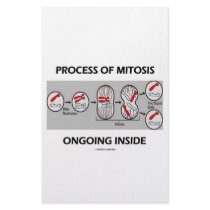 Process Of Mitosis Ongoing Inside Personalized Stationery