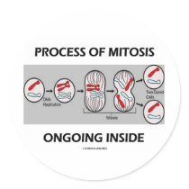 Process Of Mitosis Ongoing Inside Round Stickers