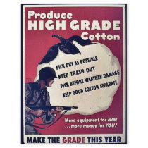 Produce High Grade Cotton flyers