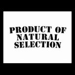 Product of Natural Selection postcards