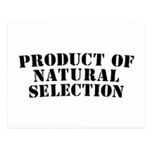 Product of Natural Selection Post Card