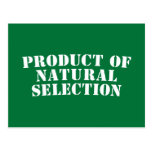 Product Of Natural Selection Postcard