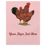 Production Red Chickens flyers