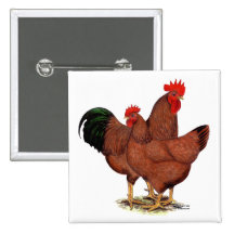 Production Red Chickens Pinback Button
