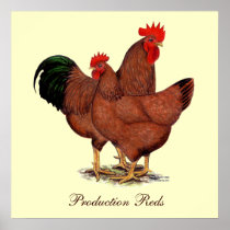 Production Red Chickens Posters