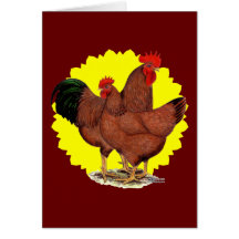 Production Red Sunburst Cards