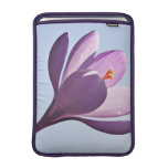Producto del personalizar fundas para macbook air