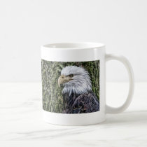 Productos de American Eagle tazas