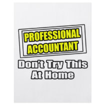 Professional Accountant...Don't Try This At Home flyers