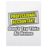 Professional Accountant...Don't Try This At Home Letterhead Design